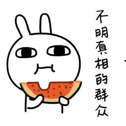 娱乐吃瓜酱经典语录